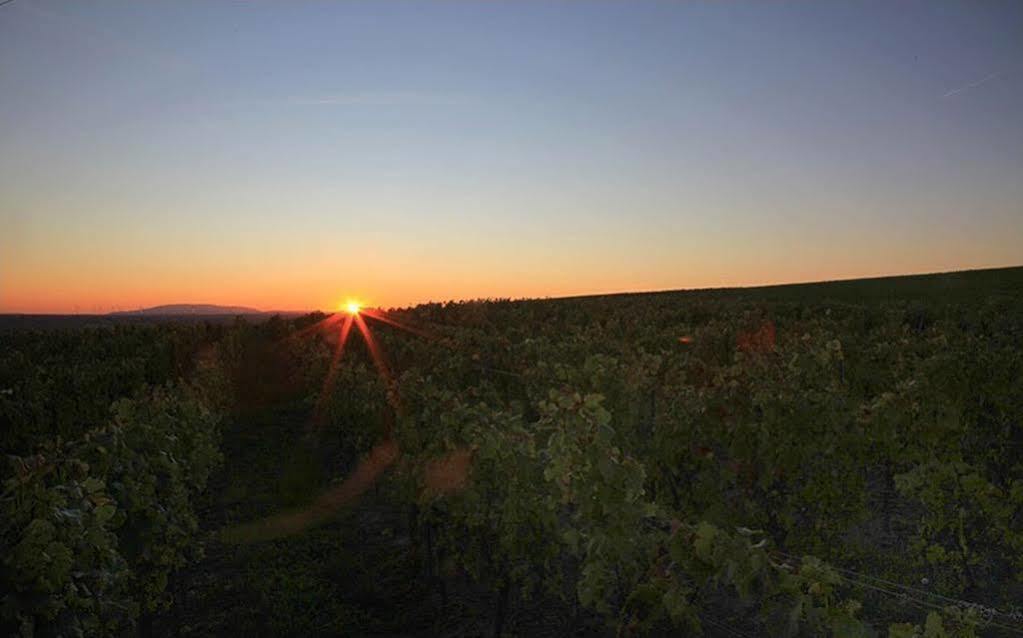 Landgut Schill Otel Osthofen Dış mekan fotoğraf